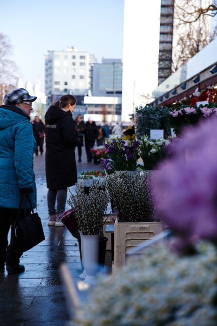 A bustling outdoor flower market on Walworth Road with various floral arrangements and bouquets displayed in white vases and containers, featuring fresh, vibrant flowers including purple, white, and p