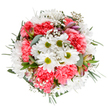 Overflowing with the spirit of joy and renewal, this bouquet encapsulates the vibrant heartbeat of Walworth's local floristry scene. From an aerial perspective, cheerful white daisies with bright green centers are nestled among robust coral-pink carnations, each layered petal creating a gentle, inviting texture reminiscent of springtime walks near John Ruskin Street. Wisps of baby's breath glimmer between the main blooms, giving the composition a soft, dreamy lightness-as though touched by morning sunlight streaming through the windows of a Walworth flat. Pink and purple-speckled alstroemeria buds peek curiously from the depths, while eucalyptus sprigs and rich green foliage round out the frame with calm sophistication. This harmonious, circular bouquet seems crafted for intimate gestures: brightening a loved one's day, offering cheerful encouragement, or bringing subtle celebration into everyday spaces across Walworth. With freshness, balance, and a palette that uplifts, this arrangement captures life's happiest moments, delivered with the heartfelt expertise of a true neighbourhood florist.